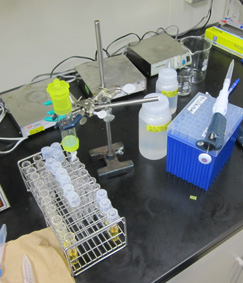 lab-cldrm.jpg
