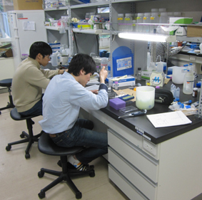 lab-jikken1.jpg