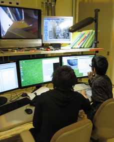 sp8-41xu1.jpg