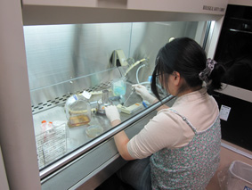 lab-baiyo4.jpg