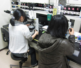 lab-kessho1.jpg