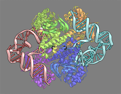 1J2B-1.png 1J2B-1.png