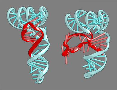 1J2B-2.png 1J2B-2.png