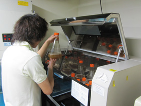 lab-baiyo1.jpg lab-baiyo1.jpg