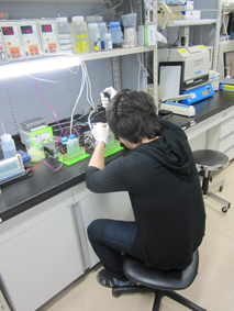 lab-eido1.jpg lab-eido1.jpg