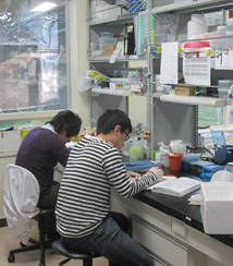 lab-jikken3.jpg lab-jikken3.jpg